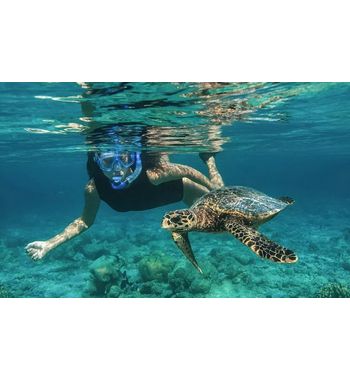 Сказочные Мальдивы — тур из Узбекистана 2026